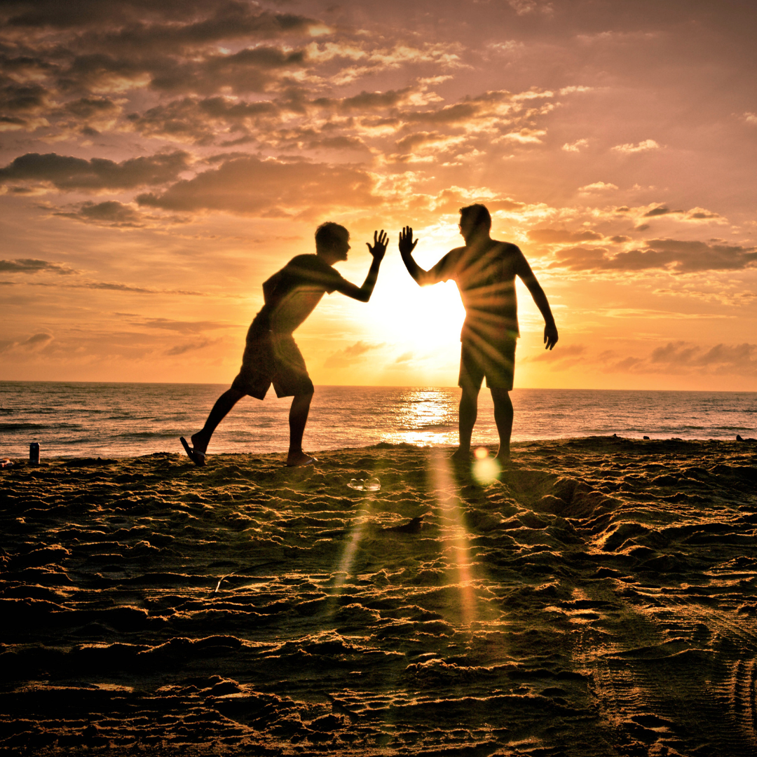 Win-Cart Win-Feed Suppliers Distributors Manufacturers Partner with us